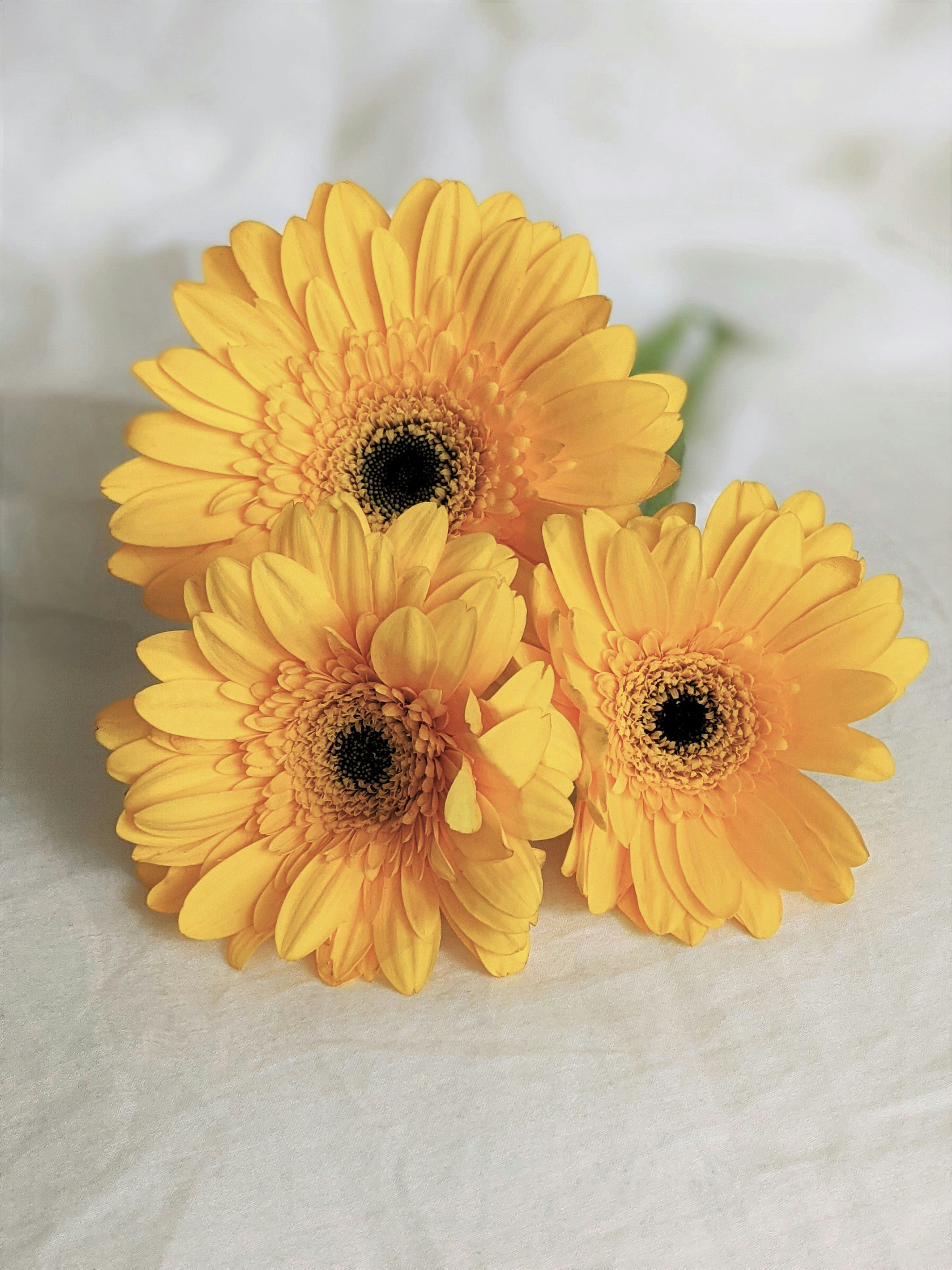 yellow flower on white textile